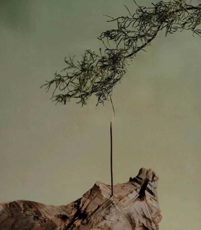 Focus and productivity incense sticks for work and study